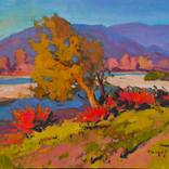 Autumn Sun by Shandor Alexander