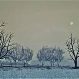 Collection How To: By Style - Impressionism