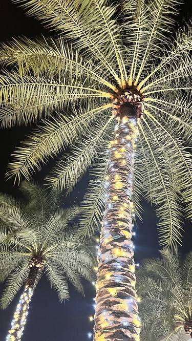 Original Digital Art Botanic Photography by Liesl Marelli