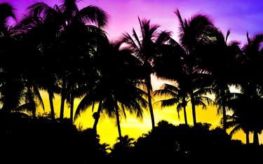 Florida Palm Trees in Sunset thumb