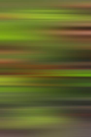 Original Abstract Photography by Liesl Marelli