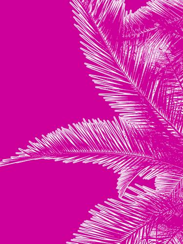 Pink Palm Trees in Minimalism - Limited Edition 1 of 45 thumb