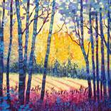 Sunbeams in the forest by Trayko Popov