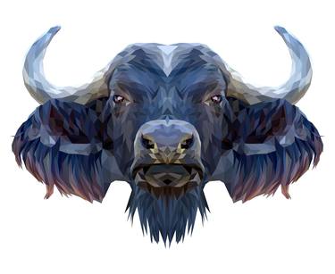 buffalo - Limited Edition of 5 thumb