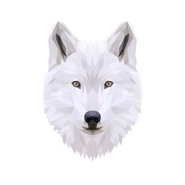 white wolf - Limited Edition of 6 thumb