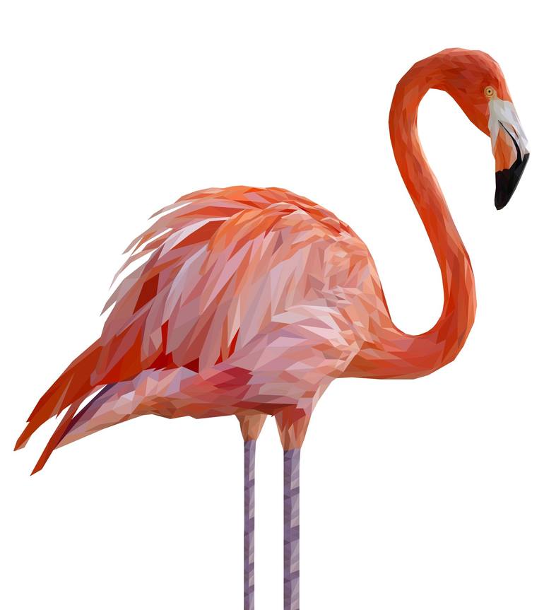Flamingo - Limited Edition of 6 - Print