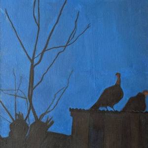 Turkeys