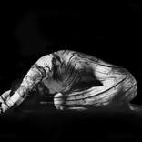 Collection Limited Editions Under $2000