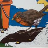 Robin juicy worm 122 by Geoff Booth