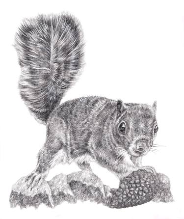 Print of Animal Drawings by Pencil Paws
