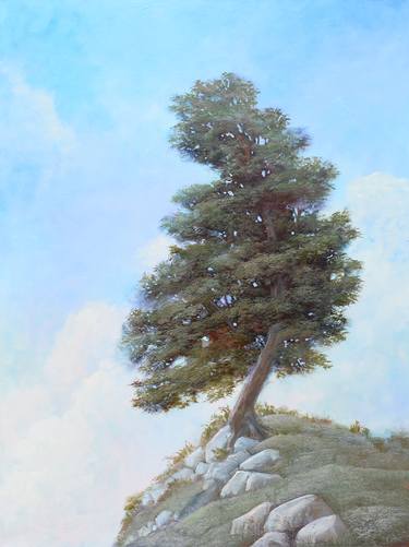 Original Fine Art Tree Paintings by Michael Harris