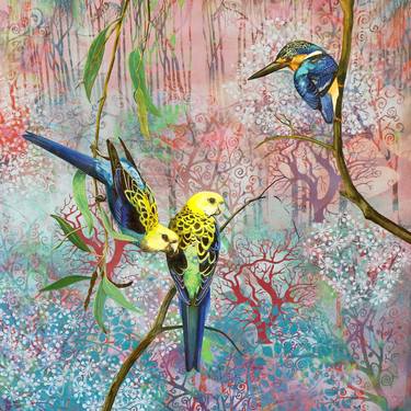 Equilibrium - Pale headed rosellas and azure kingfisher thumb