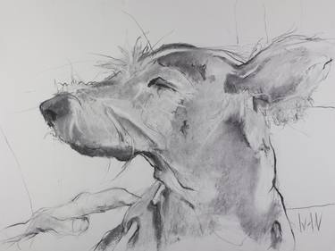 Print of Documentary Dogs Drawings by Juan Lopez-Bonilla