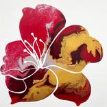Hibiscus No 1 by Eleni Pratsi