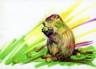 Original Animal Painting by Stephanie Peters
