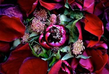 Original Floral Photography by Agnieszka Kukawska
