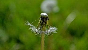 Original Nature Photography by Agnieszka Kukawska