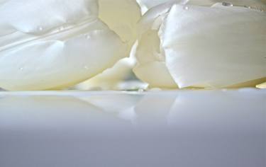 White Flowers - limited edition of 5; 4 available thumb