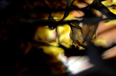 Original Conceptual Time Photography by Agnieszka Kukawska
