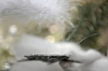 Original Abstract Expressionism Time Photography by Agnieszka Kukawska