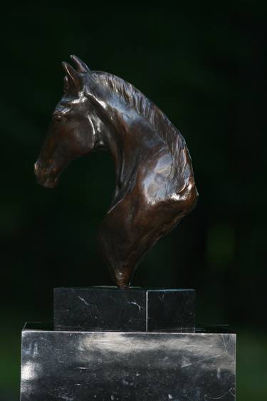 Original Horse Sculpture by JoAnne Helfert-Sullam