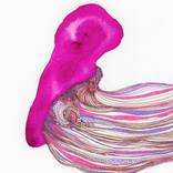 Flow [No.SS26DW003] by Satomi Sugimoto