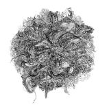 Lines [No.SS12DW009] by Satomi Sugimoto