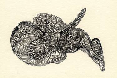 Original Illustration Abstract Drawings by Satomi Sugimoto