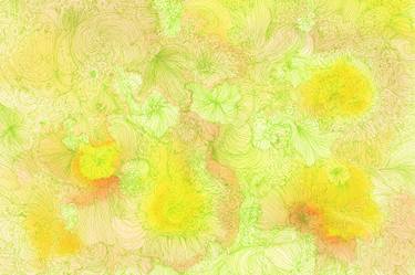 Original Abstract Floral Drawings by Satomi Sugimoto