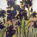 Iris violets by Stéphanie de Malherbe