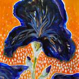 Collection Art for Your Senses: Smell