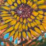 close up Sunflower I