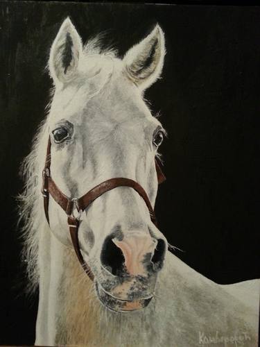 Original Realism Horse Paintings by Udait Kamberovic