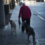 Collection Curbside Stories