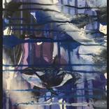 Untitled (Orca swimming #2) by Daryl Gannon