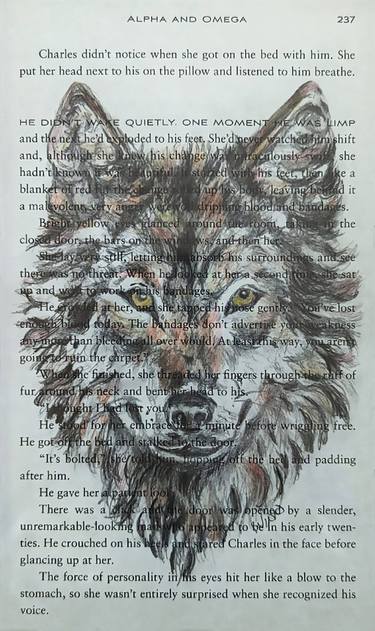 Original Photorealism Animal Drawing by Penny Winn
