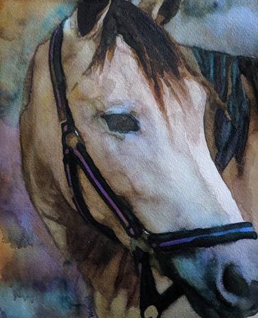 Print of Horse Paintings by Penny Winn