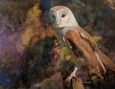 Barn Owl Portrait thumb
