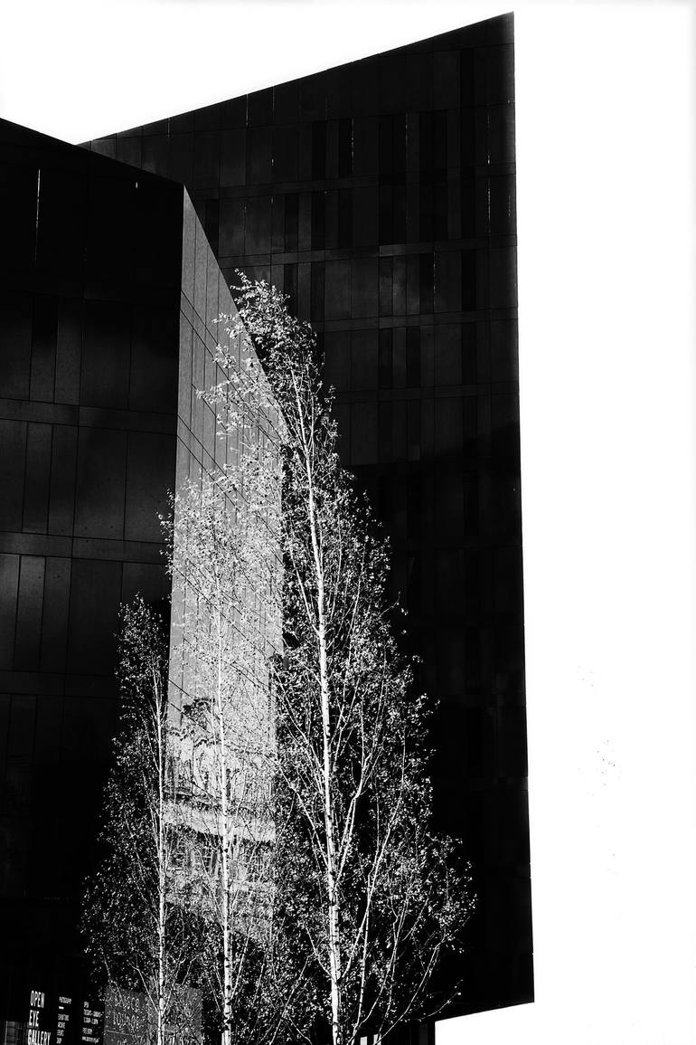 1 in 2 Reflected Photography by Patrick M Higgins | Saatchi Art