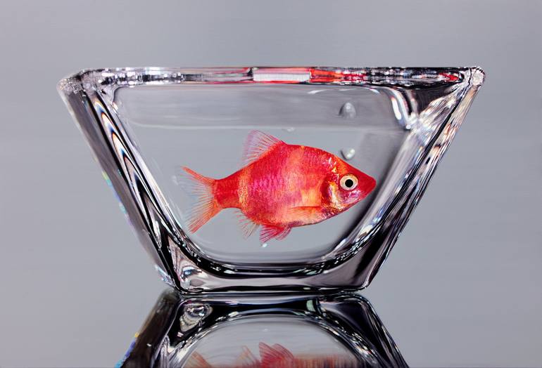 Original Photorealism Animal Paintings by Young-Sung Kim