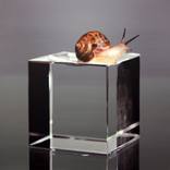 Nothing. Life. Object by Young-sung Kim