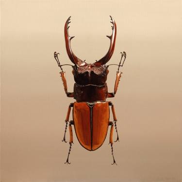 Original Animal Paintings by Young-sung Kim
