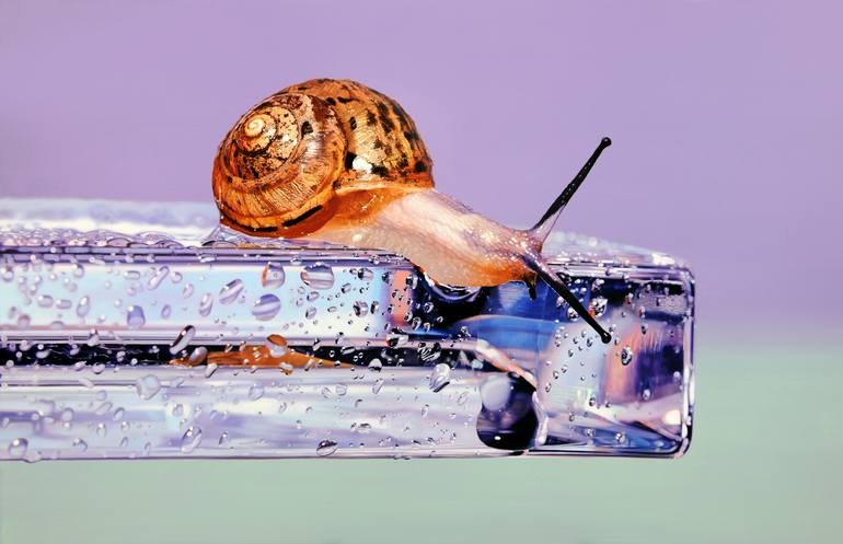 Nothing. Life. Object Painting by Young-sung Kim | Saatchi Art