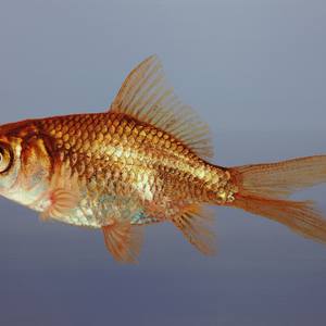 Collection Best of 2022