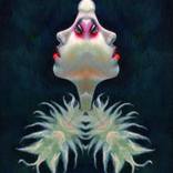 Collection CONCEPTUAL ART