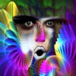 Collection CONCEPTUAL ART