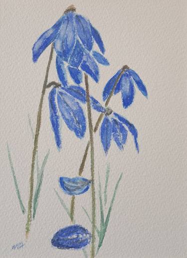 Blue Snowdrops thumb