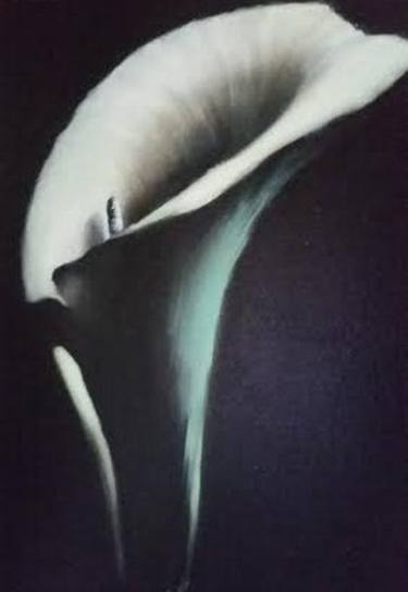 Calla Lily thumb