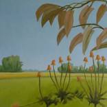 Collection Multi-Dimensional Paintings