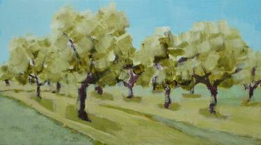 Olive grove Italy thumb